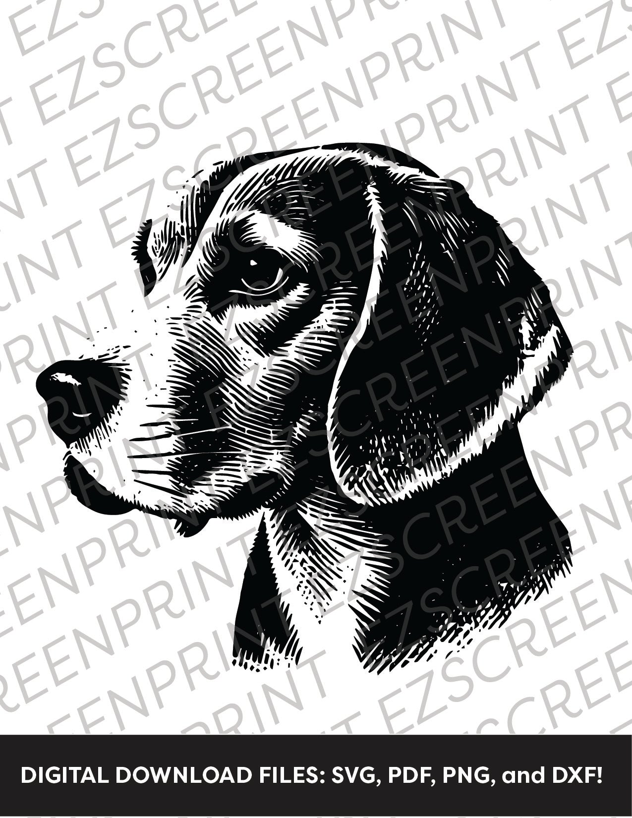 Beagle Portrait, Various Sizes + Digital Download
