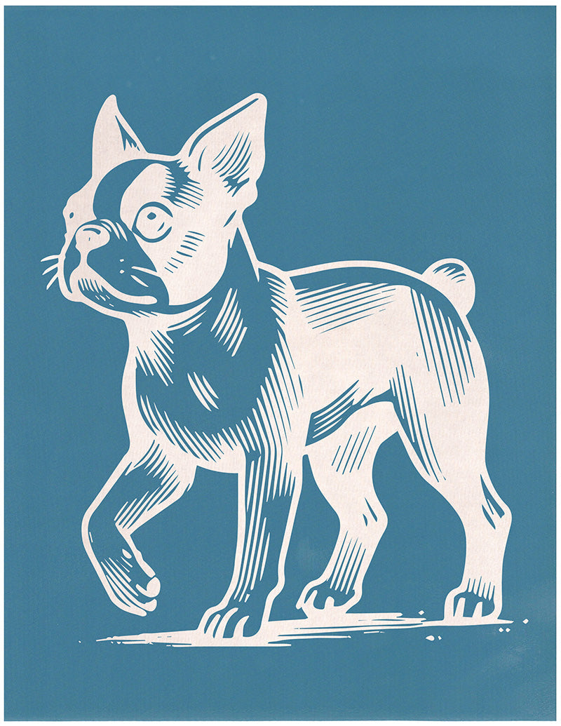 Boston Terrier, Various Sizes + Digital Download