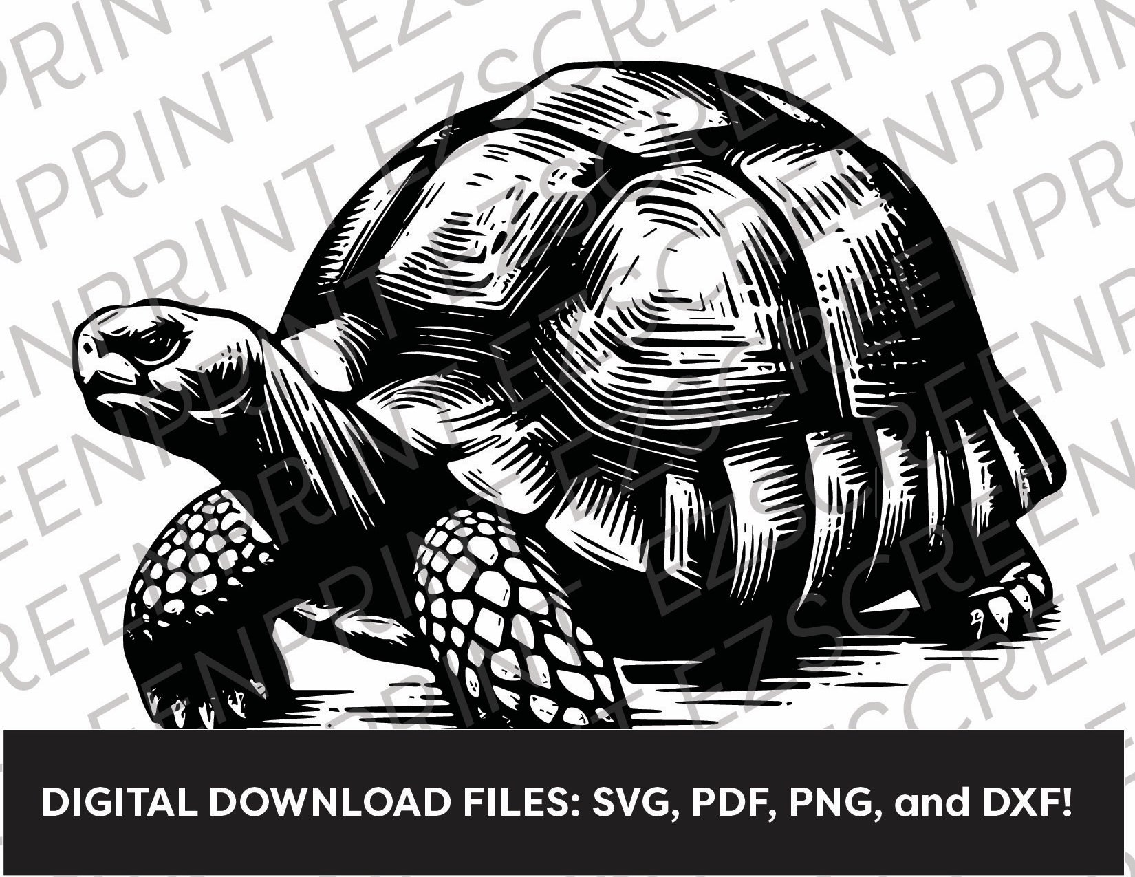 Desert Tortoise, Various Sizes + Digital Download