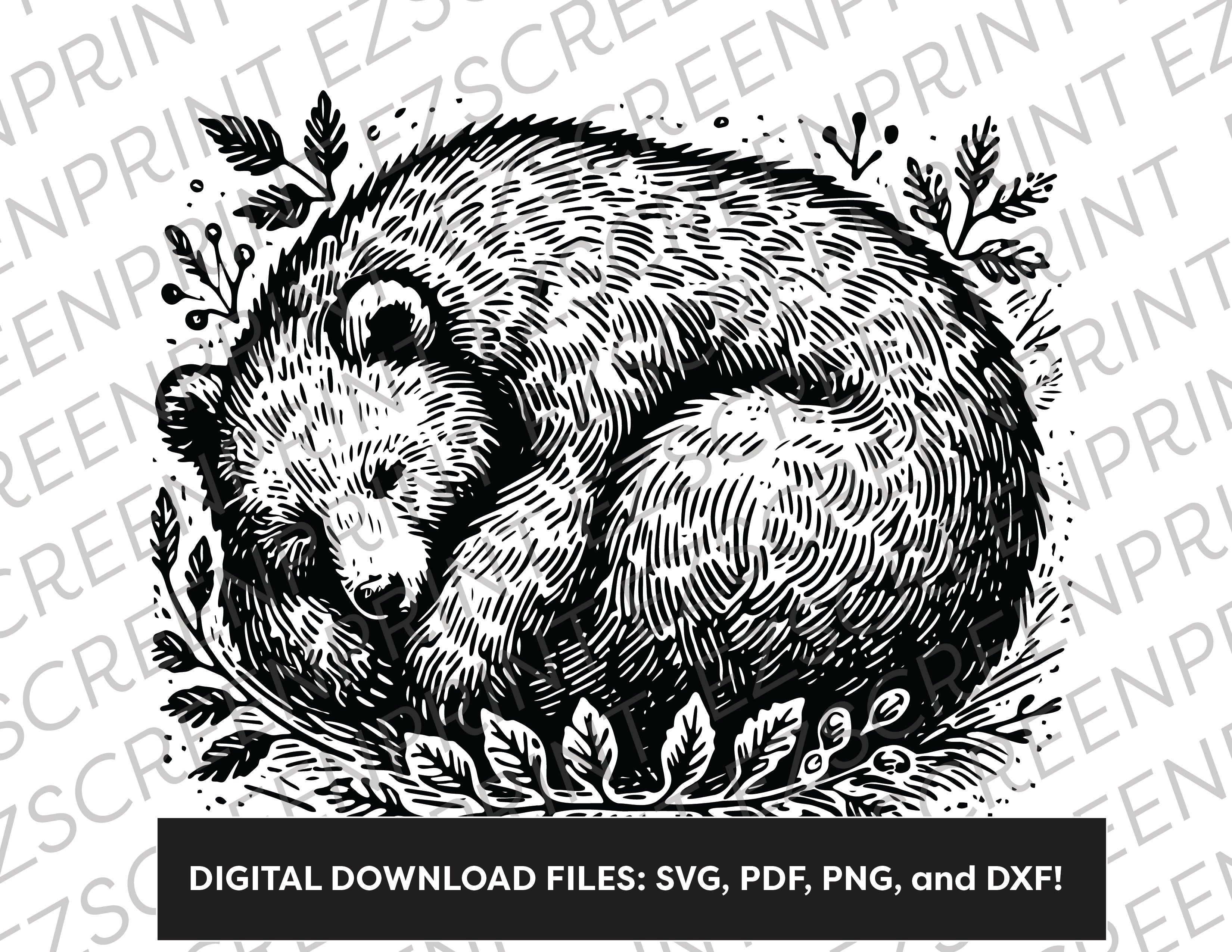 Hibernating Bear, Various Sizes + Digital Download