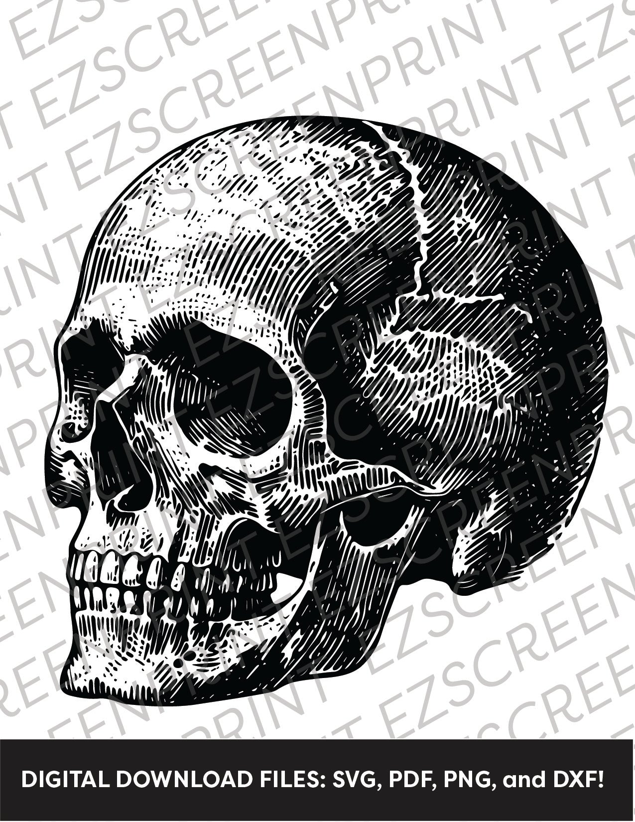 Lithograph Skull, Various Sizes + Digital Download