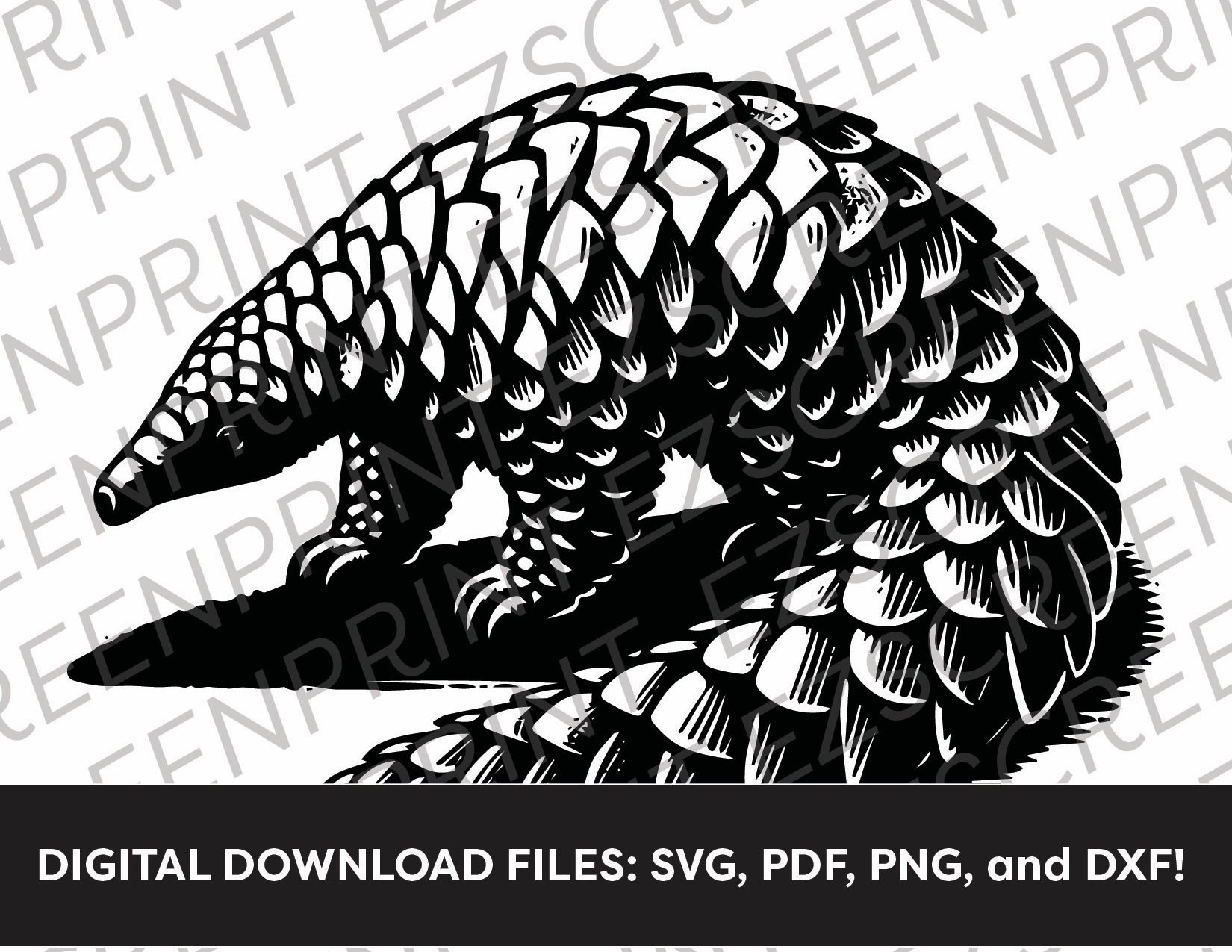 Pangolin, Various Sizes + Digital Download