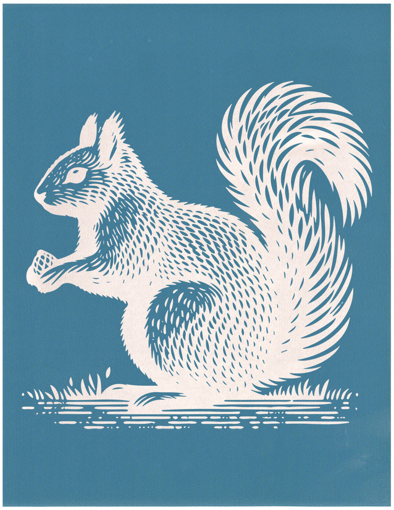 Squirrel with a Pinecone, Various Sizes + Digital Download