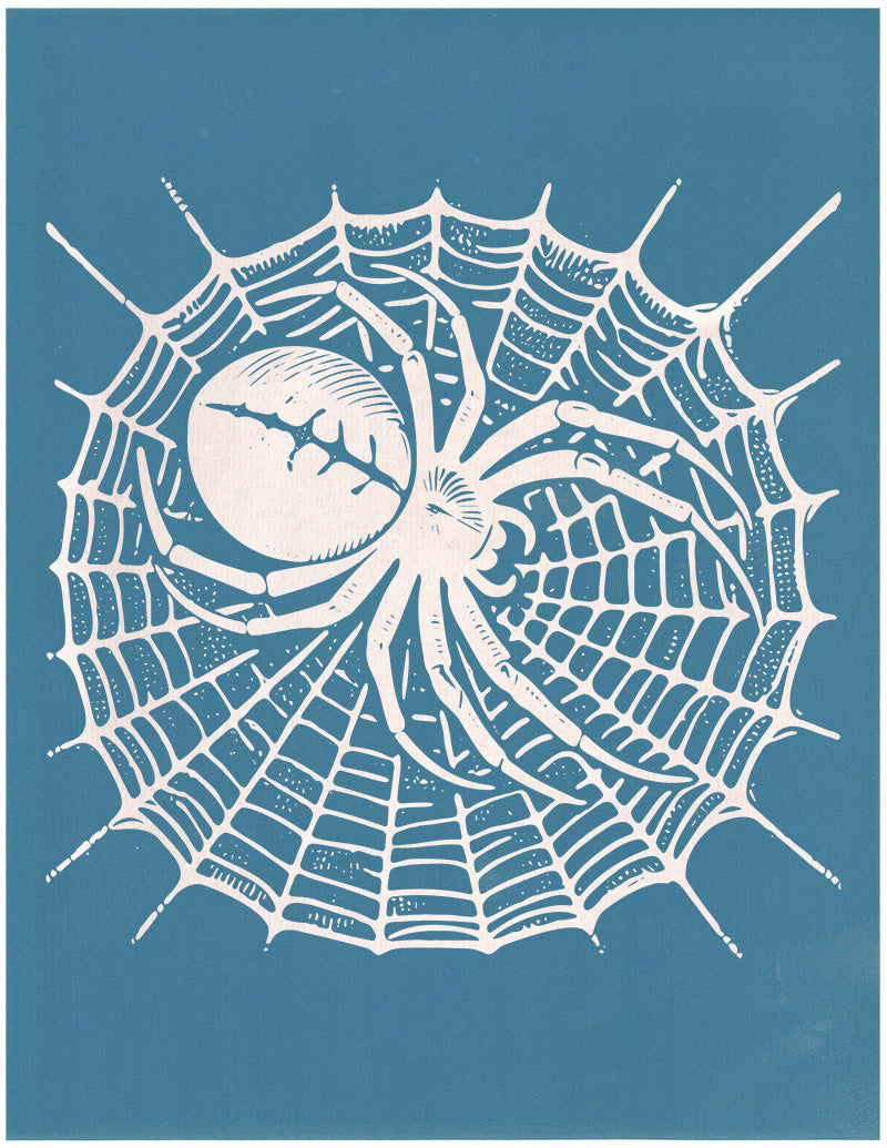 Spider in it's Web, Various Sizes + Digital Download